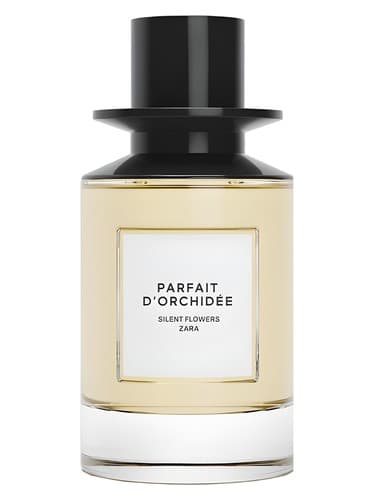 Parfait-D-Orchidee