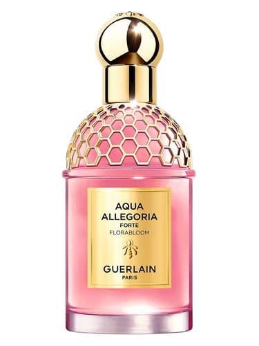 Aqua-Allegoria-Florabloom-Forte