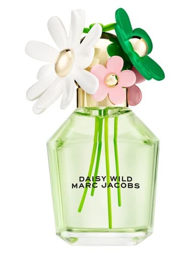 Daisy-Wild