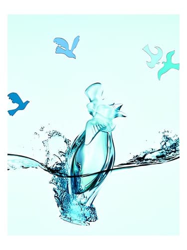 L-Eau-Du-Temps